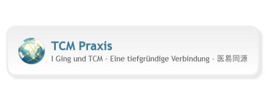 TCM Praxis